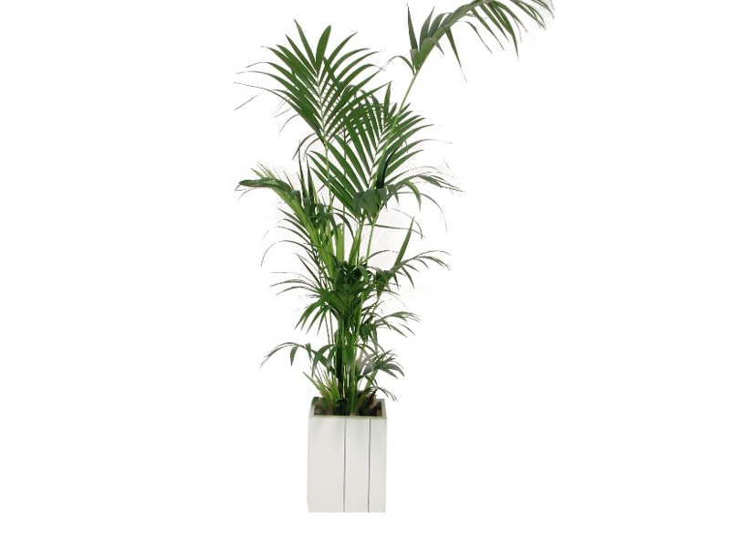 Plantenbak steigerhout wit laag