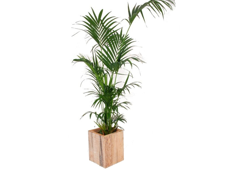 Plantenbak steigerhout laag