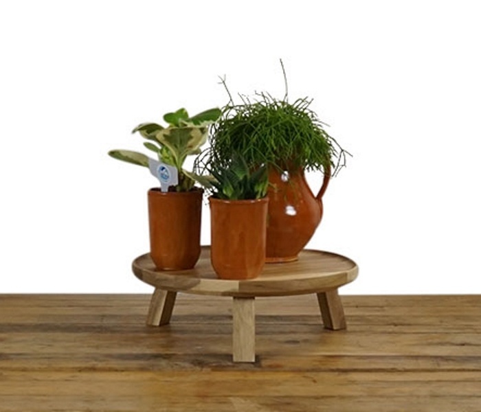 Houten tafelplateau inclusief plantjes